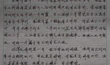 巴黎圣母院读后感200字