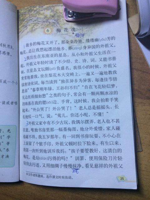 七年级的第一单元作业：对不起