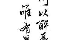 别人笑我太疯癫全诗