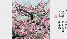 桃花依旧笑春风全诗