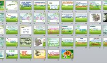 读桃花心木有感