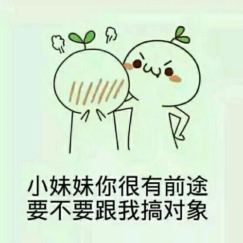 经典可笑的句子