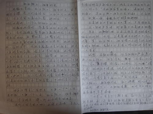 高中作文：空气草球