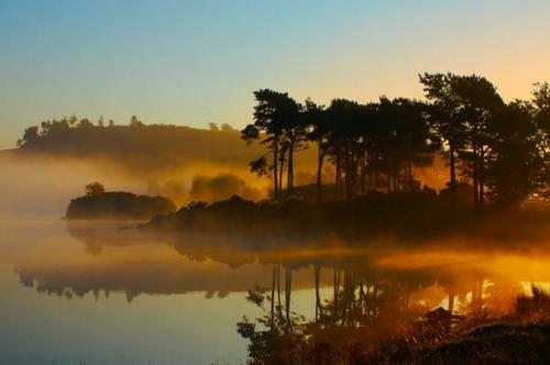 immer是人生最深的滋味