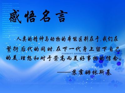关于学习方法的著名格言