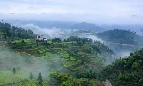 攀登黄鹤楼的诗