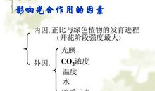 成长需要挫折记叙文