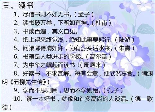 关于效率的名言