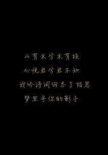 经典难忘而优美的句子