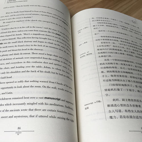 阅读巴黎圣母院的想法