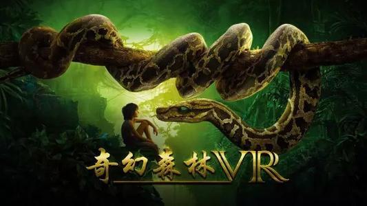关于“幻想森林”的思考