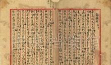 巴黎圣母院读书笔记