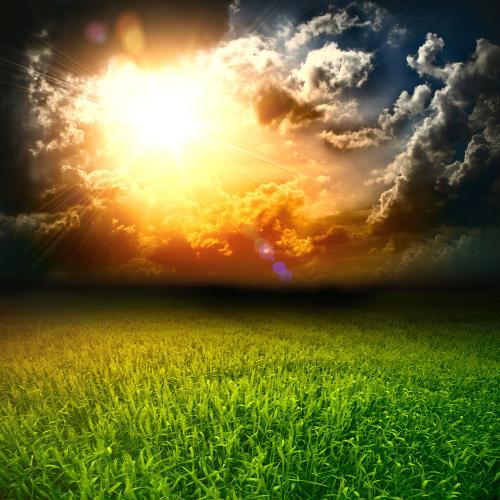 描述大草原的句子