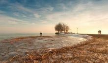 逃避现实的话语