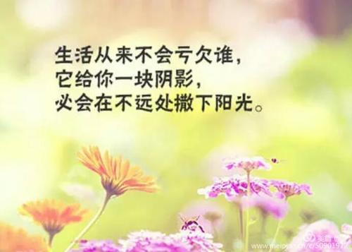 如果命运没有宠坏你，请不要伤害自己