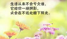 如果命运不宠你，请你别伤害自己