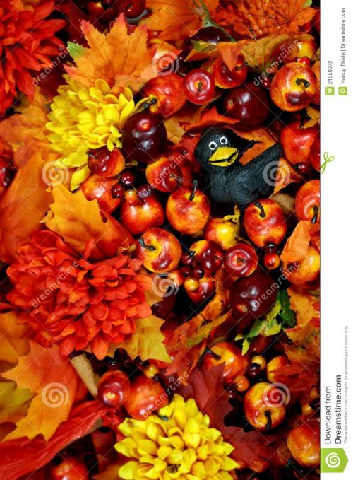 林潇：秋天的祝福