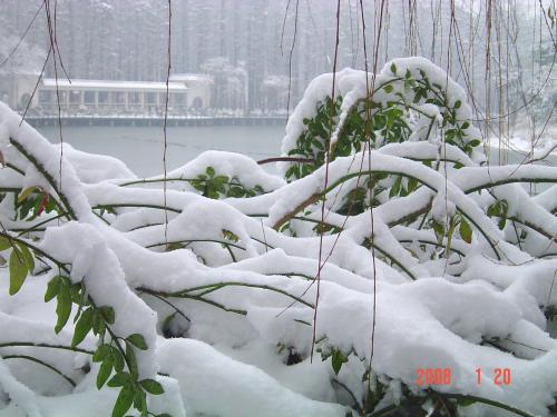 如果生活就是这样