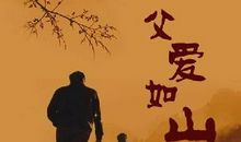 描写父亲言行的句子