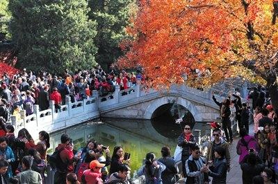 徐渭南：翔鹭峰鸟瞰图