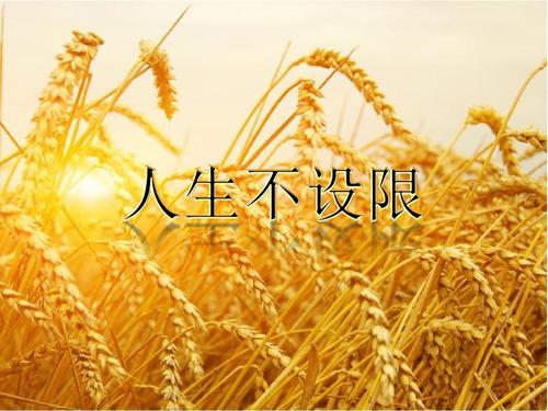 品味人生励志精髓