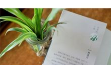 徐蔚南作品_徐蔚南散文集选