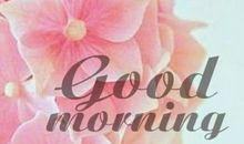 品味生活的句子