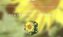 善待自己的句子