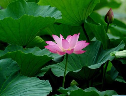 善待自己，从心开始