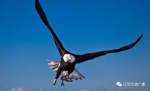 磨练，召唤成功的力量