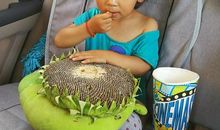 梁衡：刘家峡绿波