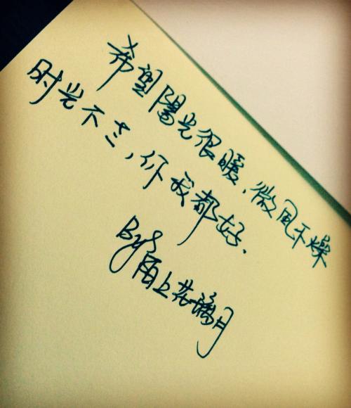 关于青春与爱情的句子