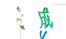 我经历的一次小挫折