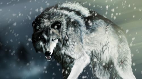 狼图腾著名语录