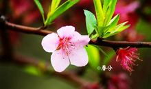 描写春分的诗句