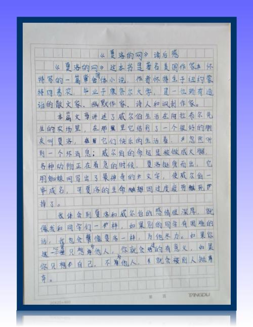 老人和海鸥读了400字