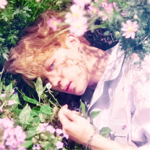 鼓舞人心的故事：七次掷硬币的奇迹