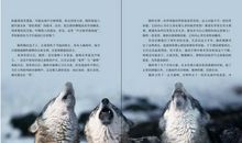 狼图腾经典片段