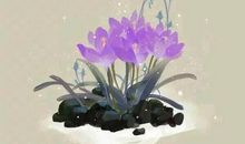 描写春天的千古佳句