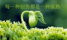 人生感悟：每一种创伤，都是一种成熟