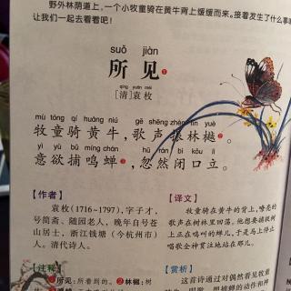 您所看到的诗意