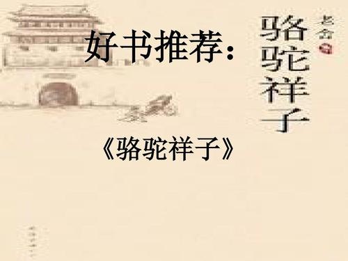 读湘子罗托的400字