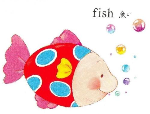 读《没抓到的鱼》后的感想