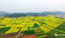 故乡，等我回来