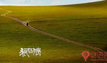 狼图腾读后感700字