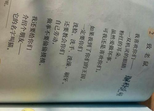 描述槐花的句子