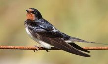 励志故事：毫无意义的争论