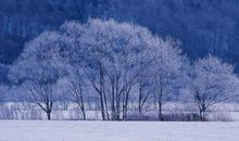 形容冬天白雪的优美句子
