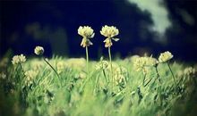 心情不好的个性签名句子