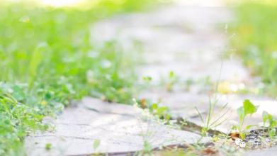 雷书彦：生死之间